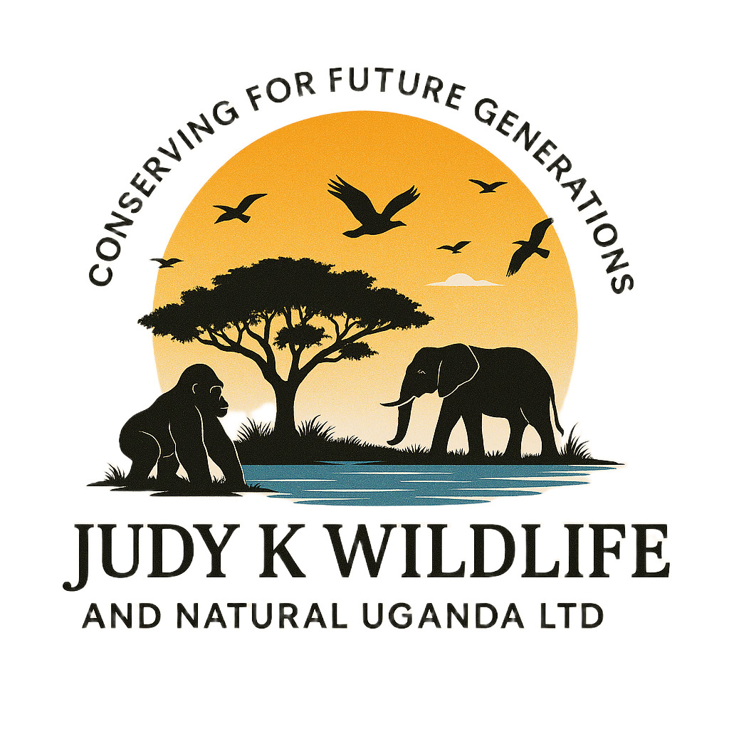Judy K wildlife Updates © 2026