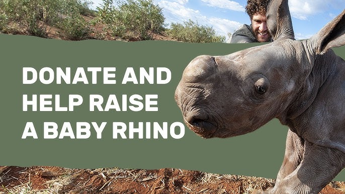A Cry in the Wild: The Heartbreaking Story of an Orphan Baby Rhino 🦏